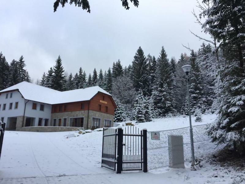 Club Rezidence Pod Luci Διαμέρισμα Loučovice Εξωτερικό φωτογραφία